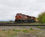 CP 8020
